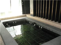 大千琉璃的公設-SPA池