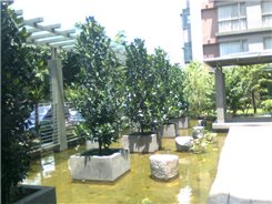 昌益清水硯的中庭